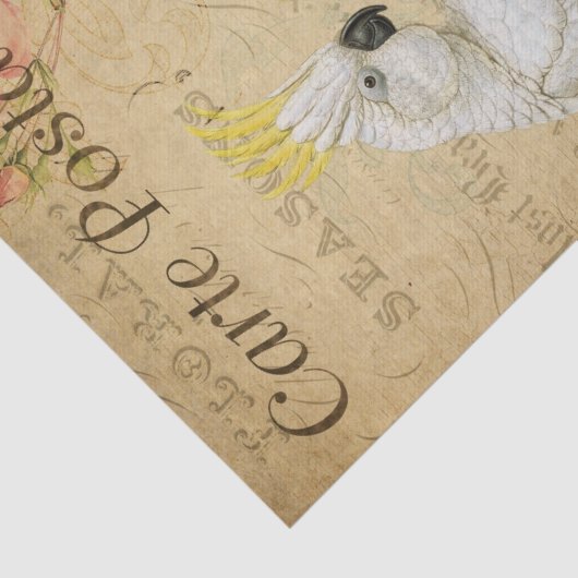 エフエマフランスのラハガキCockatoo Bird Decopage 薄葉紙 (詳細)