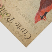 エフエマフランスのラ(鳥)ショウジョウコウカンチョウバードピンクローゼデッページ 薄葉紙 (詳細)