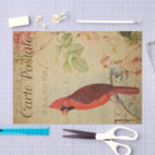 エフエマフランスのラ(鳥)ショウジョウコウカンチョウバードピンクローゼデッページ 薄葉紙 (クラフト)