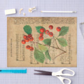 エフエマホリー主は切り離され来ている 薄葉紙 (クラフト)