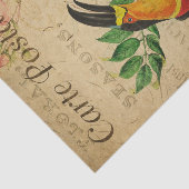 エフエマラフランスのトロピカルトゥーカンの鳥のデコパージュ 薄葉紙 (詳細)