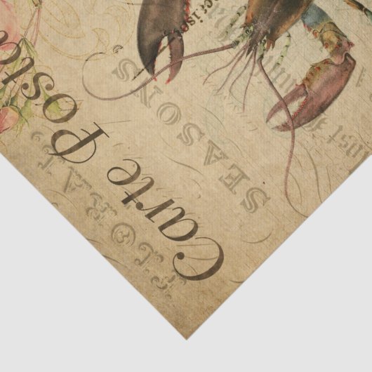 エフエマラロブスター絵画ズピンクローゼズデクページ 薄葉紙 (詳細)