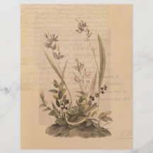 エフエマラ5スクラップブック紙