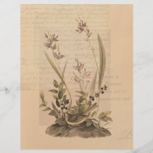 エフエマラ5スクラップブック紙