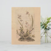 エフエマラ5スクラップブック紙 (スタンド正面)