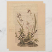 エフエマラ5スクラップブック紙 (正面/裏面)