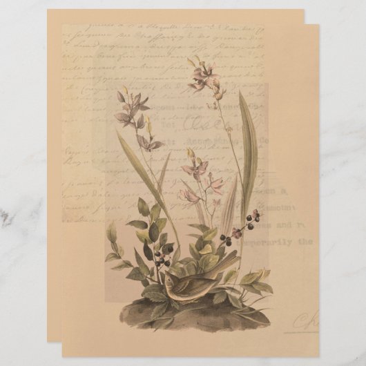 エフエマラ5スクラップブック紙 (正面/裏面)