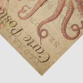 エフエメフランスのラタコイカのピンクのバラがデッページ 薄葉紙 (詳細)