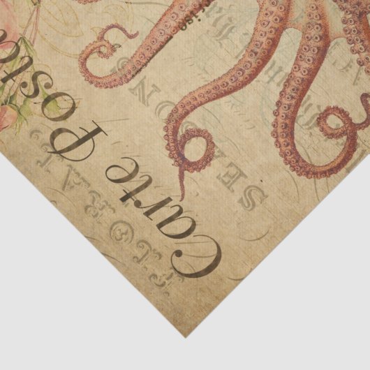 エフエメフランスのラタコイカのピンクのバラがデッページ 薄葉紙 (詳細)