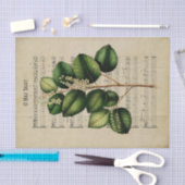 エフエメラクリスチャンソングオホーリーナイトデコップス 薄葉紙 (クラフト)