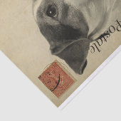 エフエメラフランスのポストカードジャックラッセルテリアードッグ 薄葉紙 (詳細)