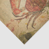 エフエメラフランスのポストタスマニアカニデクページ 薄葉紙 (詳細)