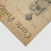 エフエメラ女フランスの性ピンクローズフローラデコページ 薄葉紙 (詳細)