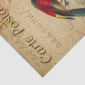 エフカラフルエマ絵画ルズの切り離し 薄葉紙 (詳細)