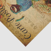 エフフランスのエメラブルーピーコックバラフローラデクページ 薄葉紙 (詳細)