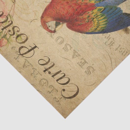 エフフランスのエメラレッドイエローマカオフローラの切り離 薄葉紙 (詳細)