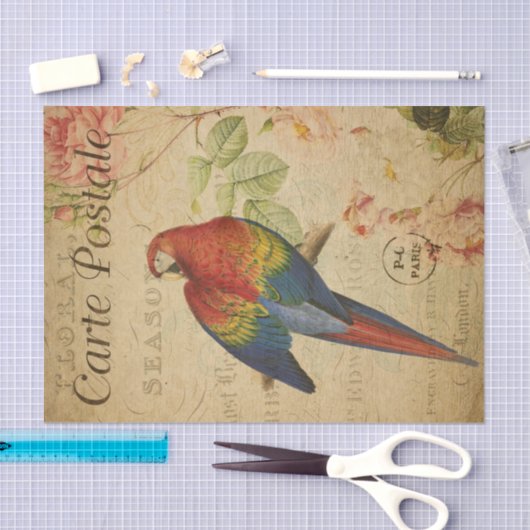 エフフランスのエメラレッドイエローマカオフローラの切り離 薄葉紙 (クラフト)