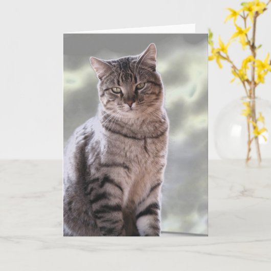 エフライムの猫 カード (黄色い花)