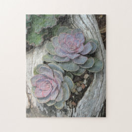 エヘベリアサキュリーパズル ジグソーパズル