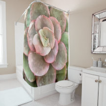 エヘベリアサボテン多肉性アクリル絵画病