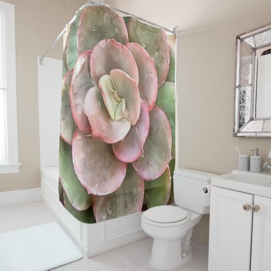 エヘベリアサボテン多肉性アクリル絵画病 シャワーカーテン (インサイチュ)