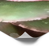 エヘベリアサボテン多肉性アクリル絵画病 ポスター (角)