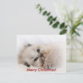 エベイ003、メリークリスマス! シーズンポストカード (スタンド正面)