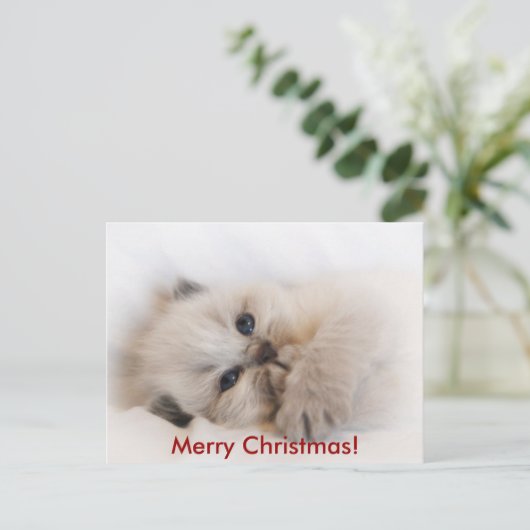 エベイ003、メリークリスマス! シーズンポストカード (スタンド正面)