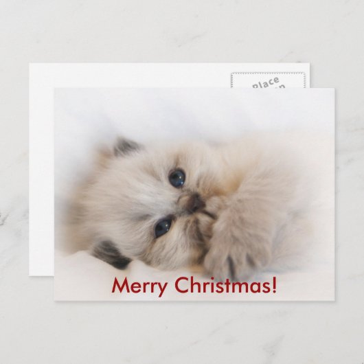 エベイ003、メリークリスマス！ シーズンポストカード (正面/裏面)