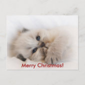 エベイ003、メリークリスマス! シーズンポストカード (正面)