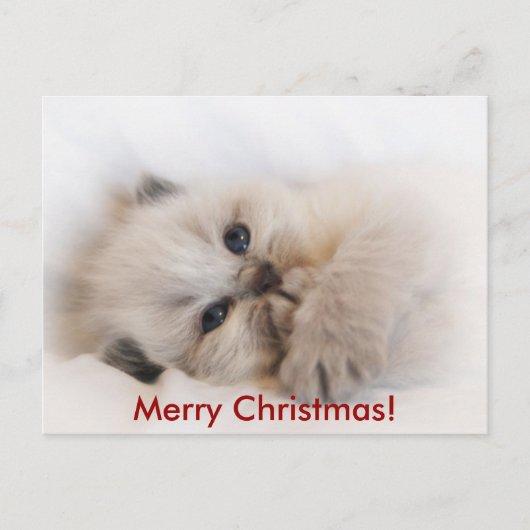 エベイ003、メリークリスマス! シーズンポストカード (正面)