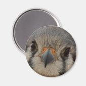 エベレット マグネット (正面/裏面)