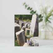 エペソ遺跡に生息する愛らしい野良猫 ポストカード (スタンド正面)