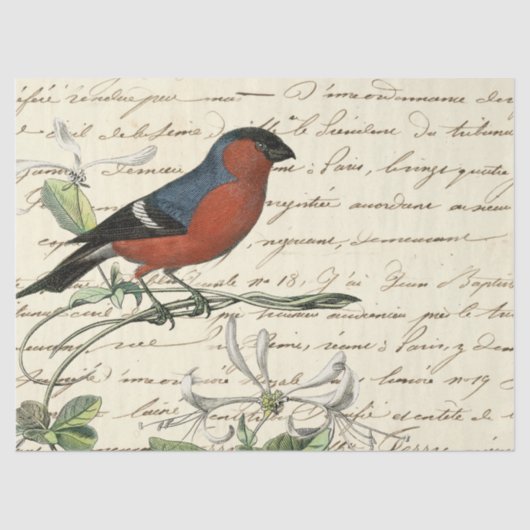 エペソ鳥シリーズデザインワン 薄葉紙 (正面)