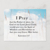 エペソ1:17知恵の啓示のための聖書祈りの言葉 ポストカード (正面)