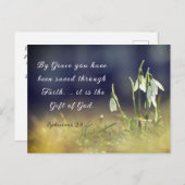 エペソ2:8恵みによって、あなた方は聖書を受け継救いでいる ポストカード (正面/裏面)