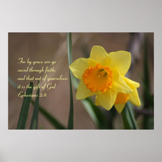 エペソ2:8黄色い水仙の聖句 ポスター (正面)