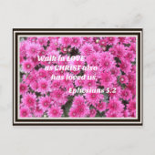 エペソ5:2キリストも私たちを愛したように、愛の中を歩きなさい シーズンポストカード (正面)