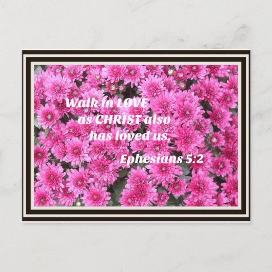 エペソ5:2キリストも私たちを愛したように、愛の中を歩きなさい シーズンポストカード (正面)