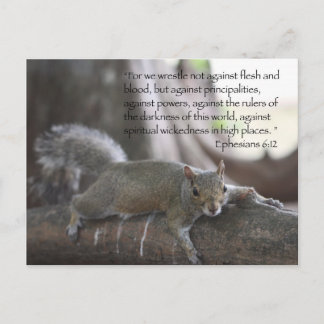 エペソ6:12 ポストカード