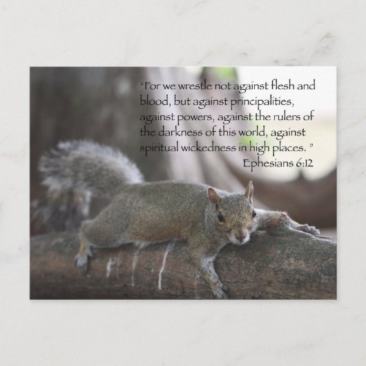 エペソ6:12 ポストカード (正面)