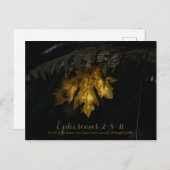 エペソ ポストカード (正面/裏面)