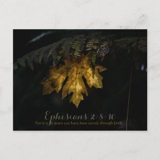 エペソ ポストカード