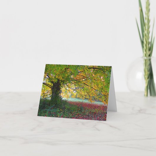 エホバrapha カード (正面)