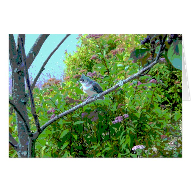 エボシガラのひな鳥のひな鳥 (正面横)