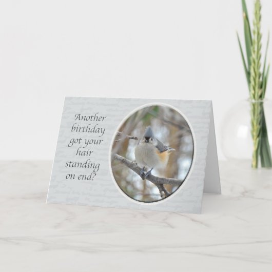 エボシガラ別の誕生日 カード (正面)