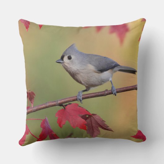 エボシガラ クッション (裏面)