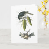 エボシガラ、ジョンAudubon カード (黄色い花)