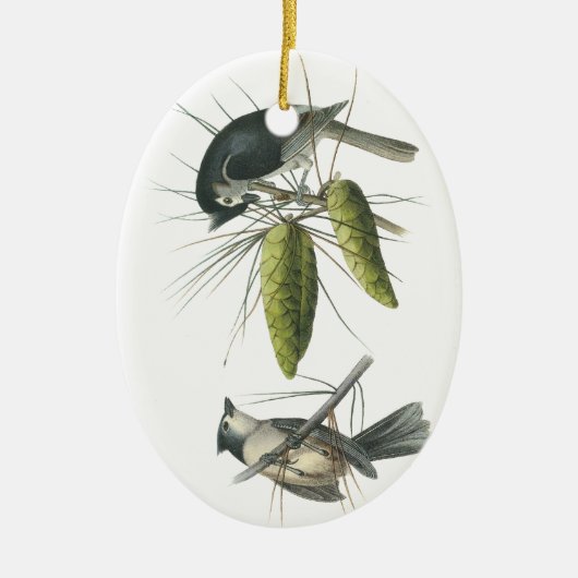 エボシガラ、ジョンAudubon セラミックオーナメント (正面)