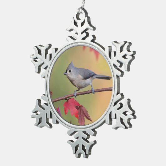 エボシガラ スノーフレークピューターオーナメント (右)